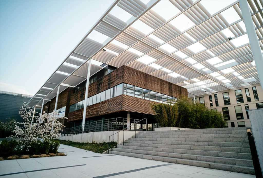 MATIC USD Price Today – Live MATIC to USD Rate